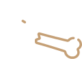 Bone@2x